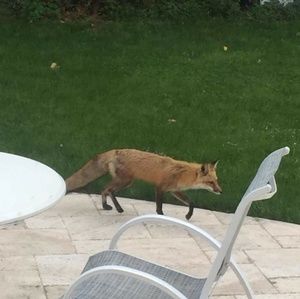 Meet your Posher, Alana